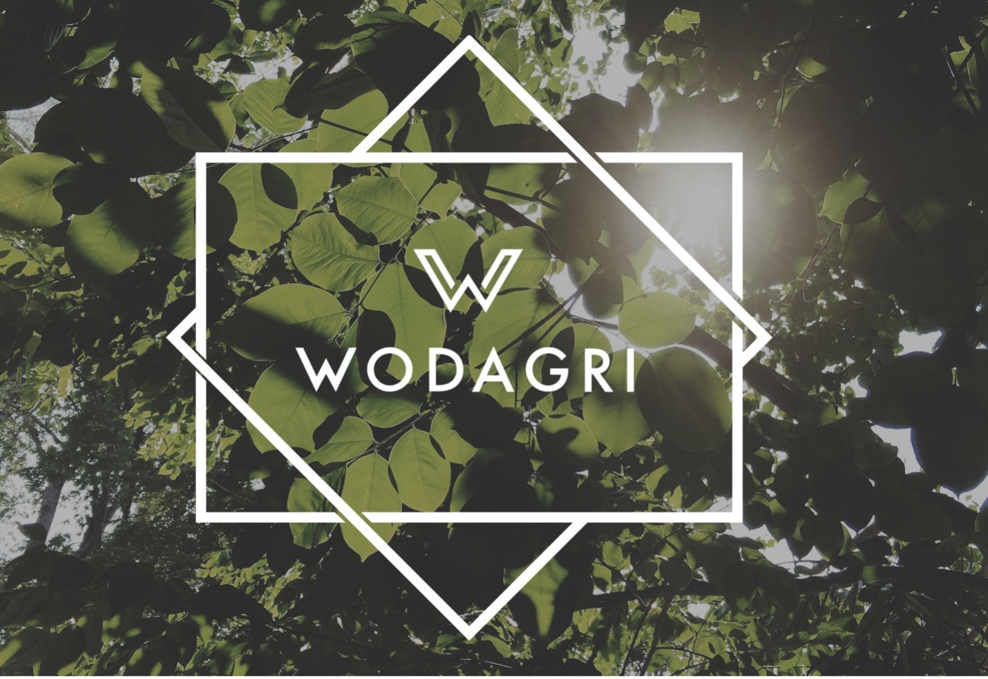 Wodagri About us