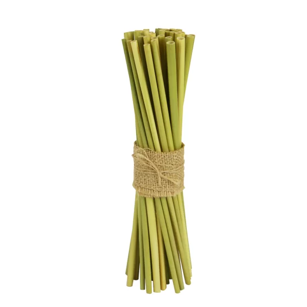 Wodagri Grass Straws