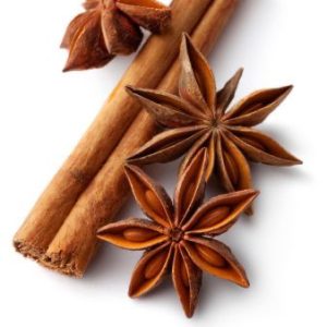 Wodagri Spices Star anise edited