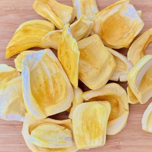 Wodagri Vietnam Jackfruit Freeze Dried