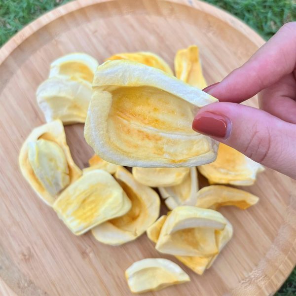 Wodagri Vietnam Jackfruit Freeze Dried Chips