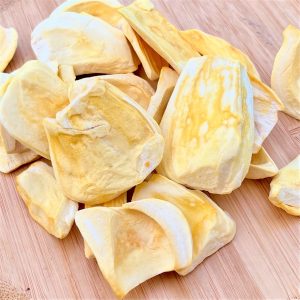 Wodagri Vietnam Jackfruit Freeze Dried Fruit
