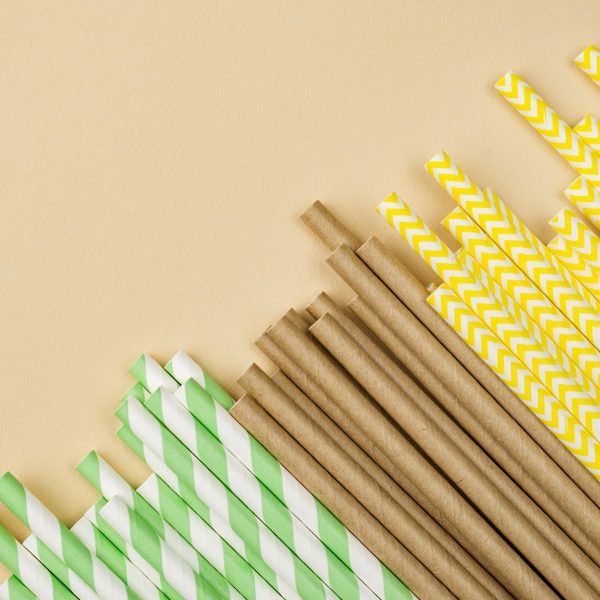 Wodagri paper bamboo eco straws