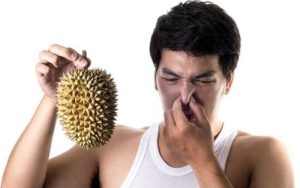 Why durian has a bad smell