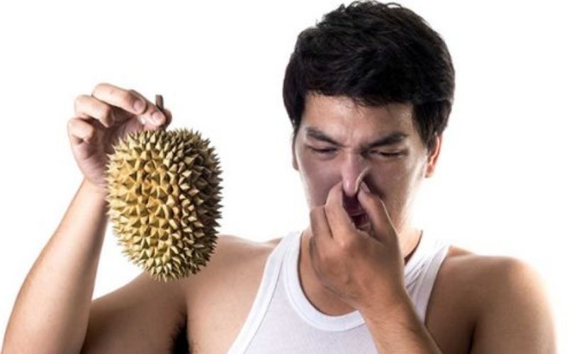 Why durian has a bad smell