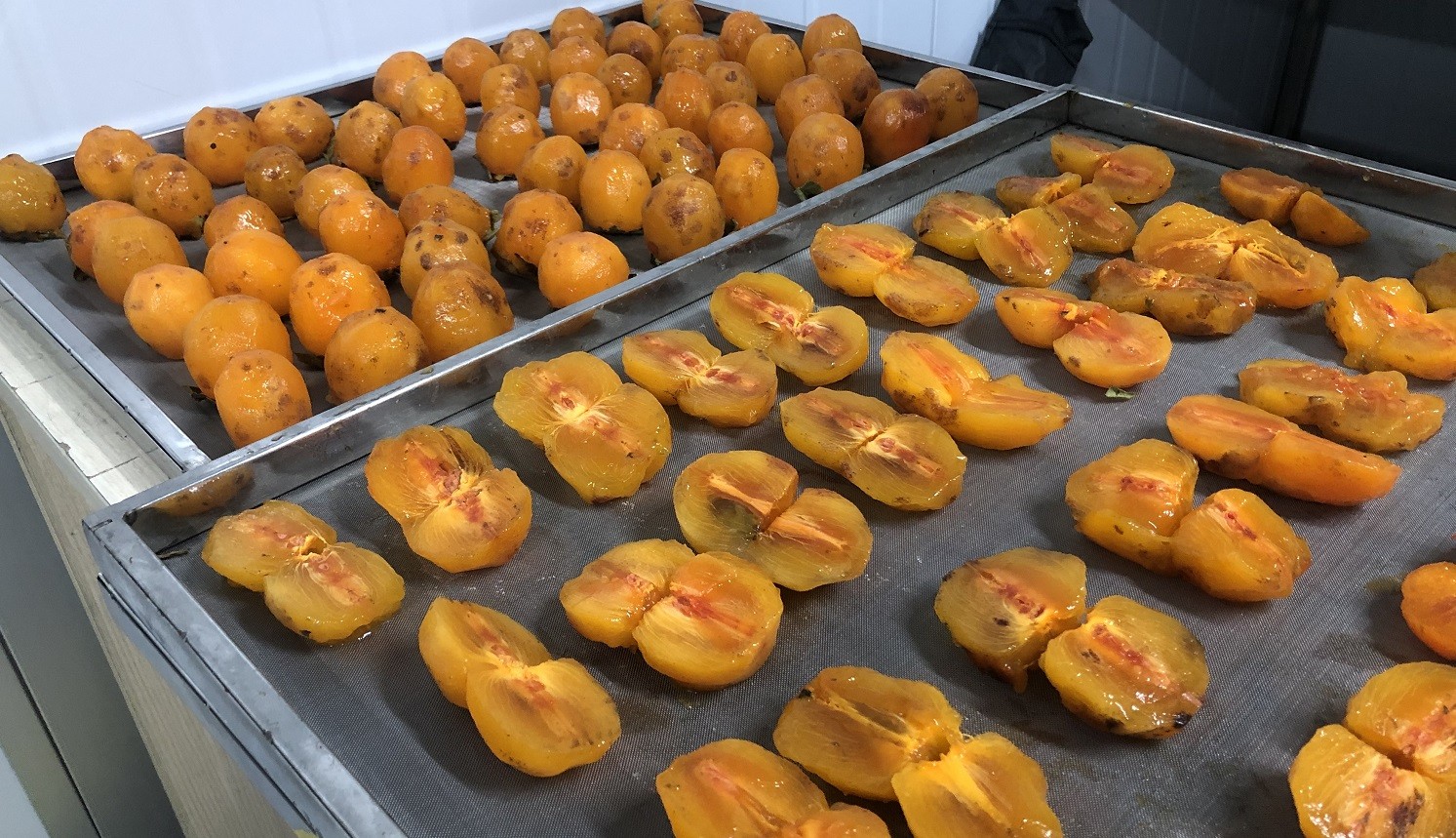 making dried persimmon wodagri