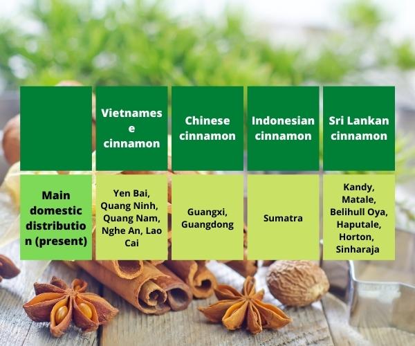 Vietnam cinnamon vs others1