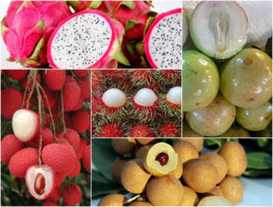 Vietnamese fruits