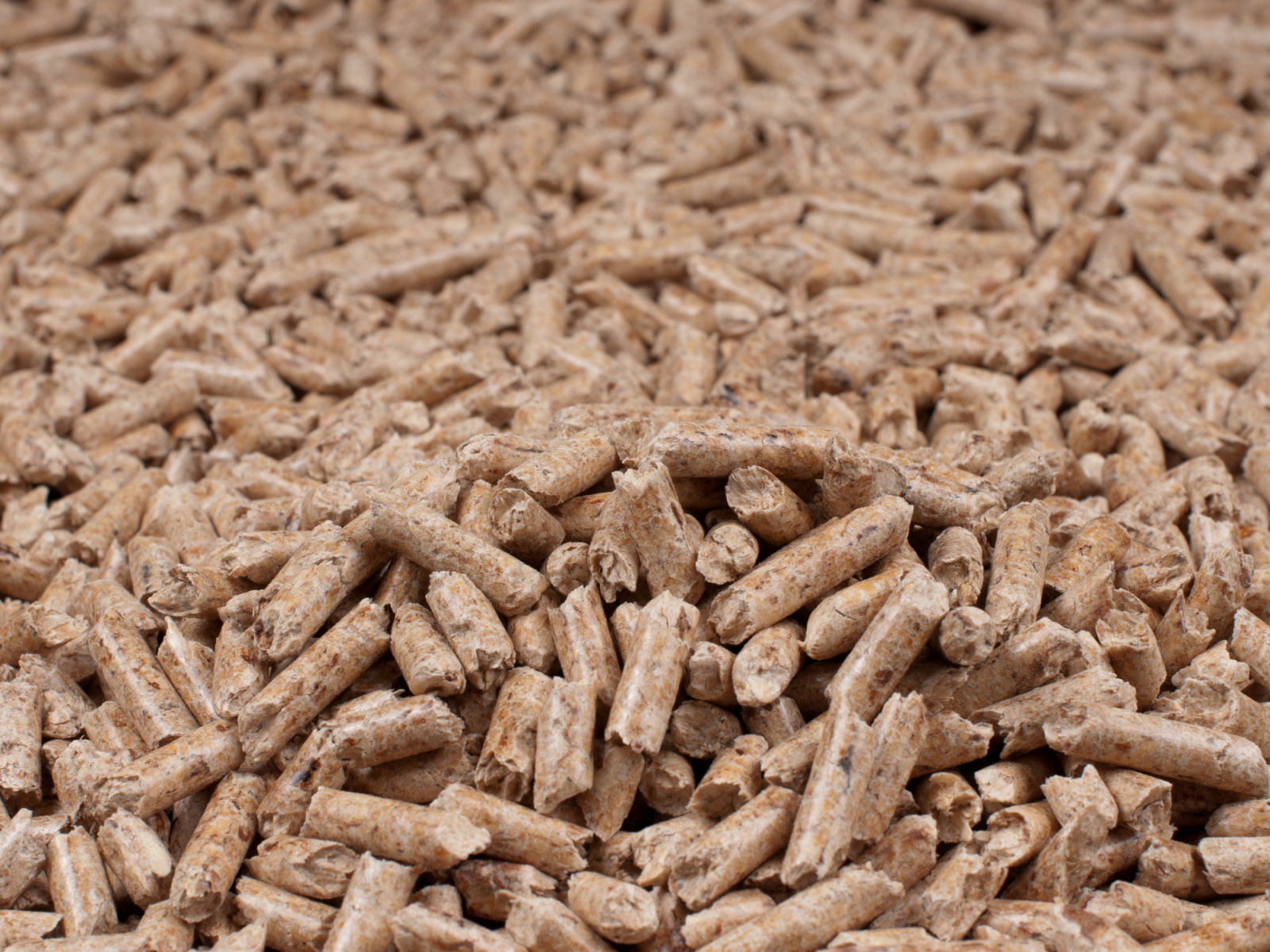 Rice Husk Pellets Benefits Wodagri