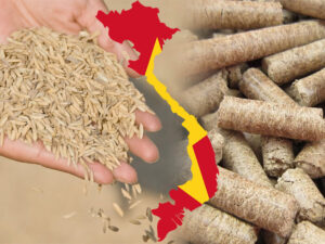 Rice Husk Pellet in Vietnam